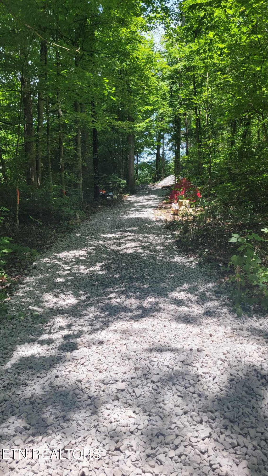 Photo of 450 Butler Rd, Decatur, TN 37322 (MLS # 1309120)
