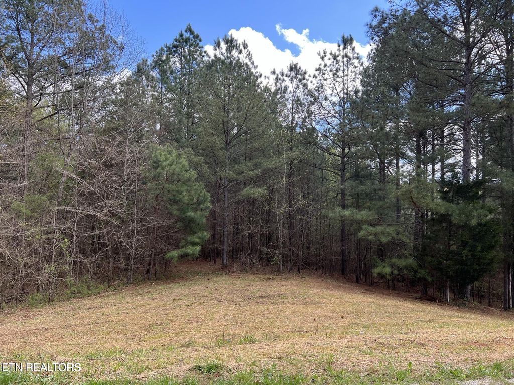 Photo of 1727 Grand Pine Point, Maryville, TN 37801 (MLS # 1339431)