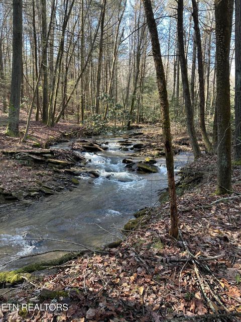 Tiny photo for 247 Copperhead Rd, Oakdale, TN 37829 (MLS # 1325133)