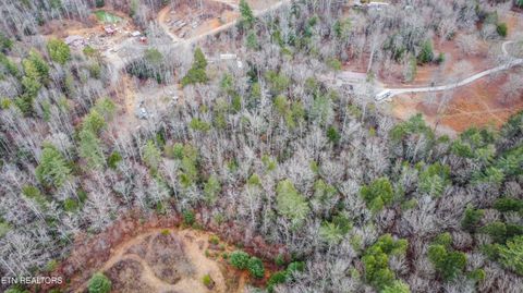 Tiny photo for 247 Copperhead Rd, Oakdale, TN 37829 (MLS # 1325133)