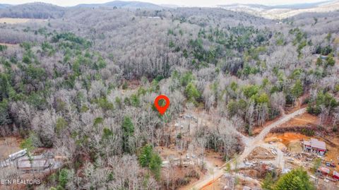 Tiny photo for 247 Copperhead Rd, Oakdale, TN 37829 (MLS # 1325133)