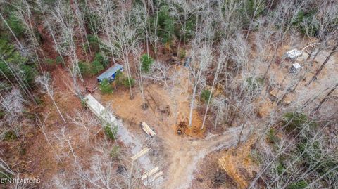 Tiny photo for 247 Copperhead Rd, Oakdale, TN 37829 (MLS # 1325133)