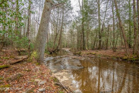 Tiny photo for 247 Copperhead Rd, Oakdale, TN 37829 (MLS # 1325133)