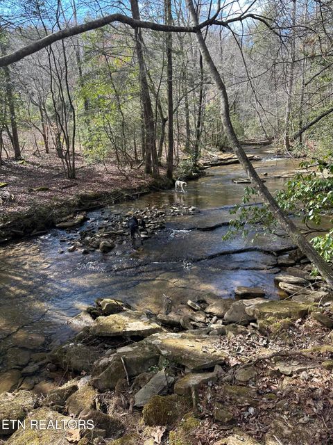 Tiny photo for 247 Copperhead Rd, Oakdale, TN 37829 (MLS # 1325133)