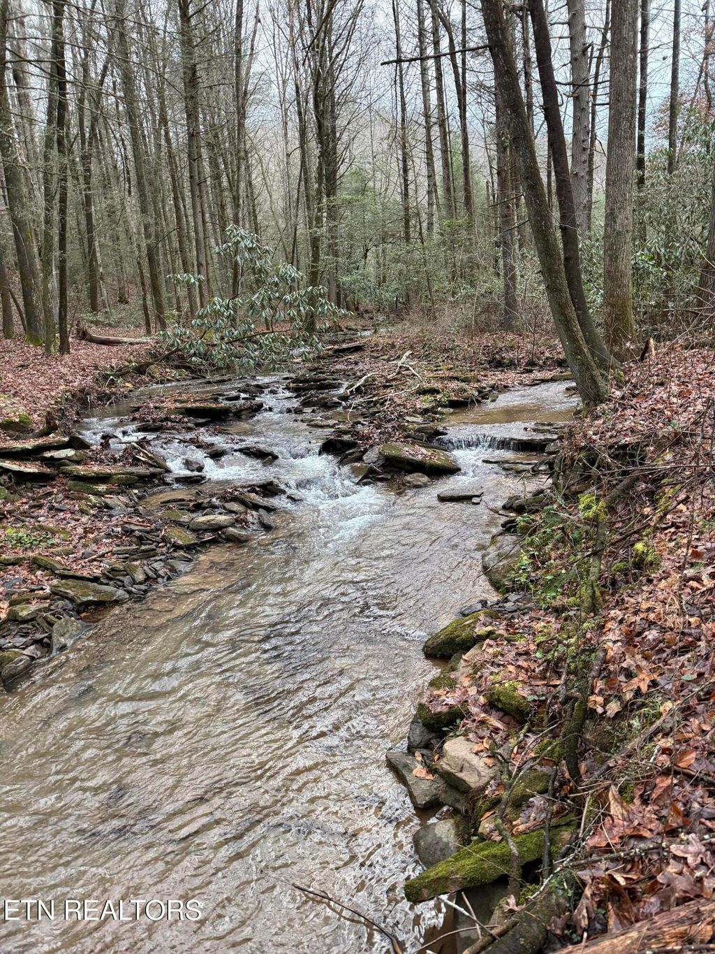 Photo of 247 Copperhead Rd, Oakdale, TN 37829 (MLS # 1325133)