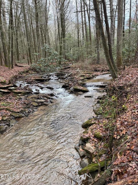 Tiny photo for 247 Copperhead Rd, Oakdale, TN 37829 (MLS # 1325133)