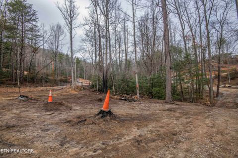 Tiny photo for 247 Copperhead Rd, Oakdale, TN 37829 (MLS # 1325133)