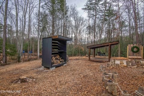 Tiny photo for 247 Copperhead Rd, Oakdale, TN 37829 (MLS # 1325133)