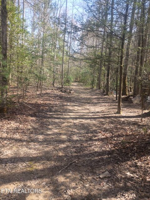 Tiny photo for 247 Copperhead Rd, Oakdale, TN 37829 (MLS # 1325133)