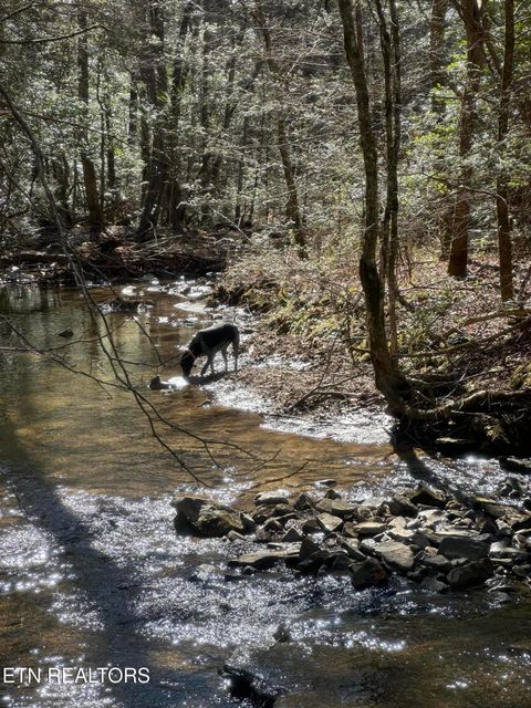 Tiny photo for 247 Copperhead Rd, Oakdale, TN 37829 (MLS # 1325133)