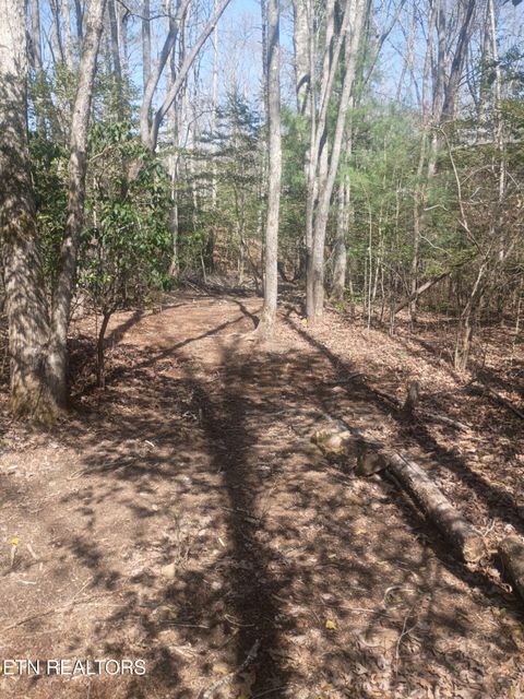 Tiny photo for 247 Copperhead Rd, Oakdale, TN 37829 (MLS # 1325133)