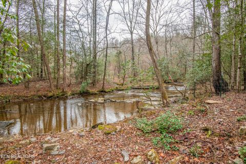Tiny photo for 247 Copperhead Rd, Oakdale, TN 37829 (MLS # 1325133)