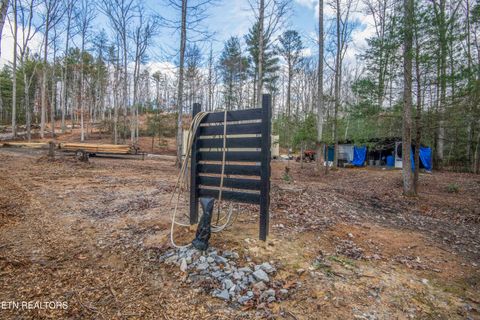 Tiny photo for 247 Copperhead Rd, Oakdale, TN 37829 (MLS # 1325133)