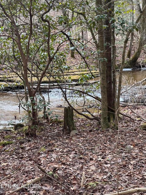 Tiny photo for 247 Copperhead Rd, Oakdale, TN 37829 (MLS # 1325133)