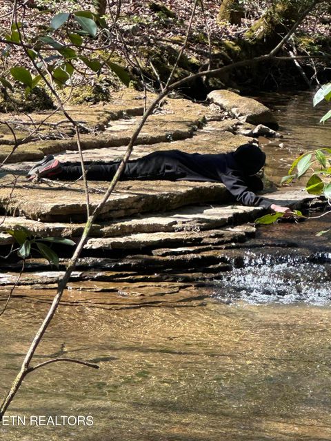 Tiny photo for 247 Copperhead Rd, Oakdale, TN 37829 (MLS # 1325133)