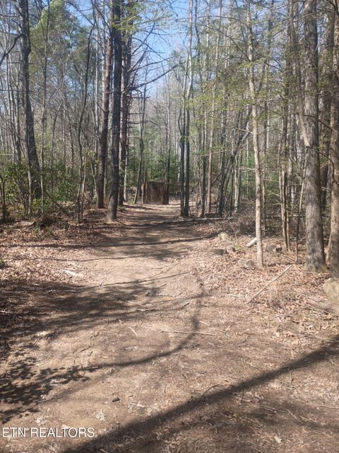 Tiny photo for 247 Copperhead Rd, Oakdale, TN 37829 (MLS # 1325133)