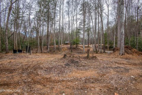 Tiny photo for 247 Copperhead Rd, Oakdale, TN 37829 (MLS # 1325133)