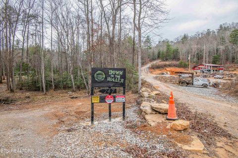 Tiny photo for 247 Copperhead Rd, Oakdale, TN 37829 (MLS # 1325133)