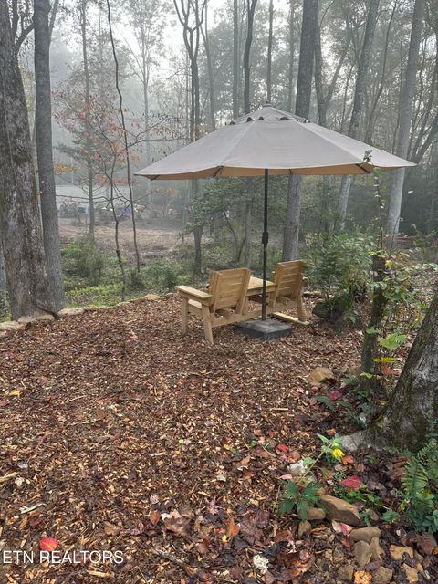 Tiny photo for 247 Copperhead Rd, Oakdale, TN 37829 (MLS # 1325133)