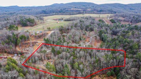 Tiny photo for 247 Copperhead Rd, Oakdale, TN 37829 (MLS # 1325133)