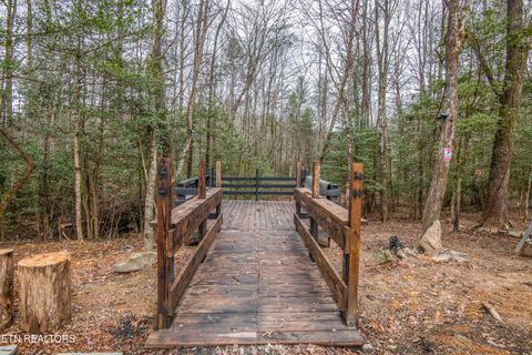 Tiny photo for 247 Copperhead Rd, Oakdale, TN 37829 (MLS # 1325133)