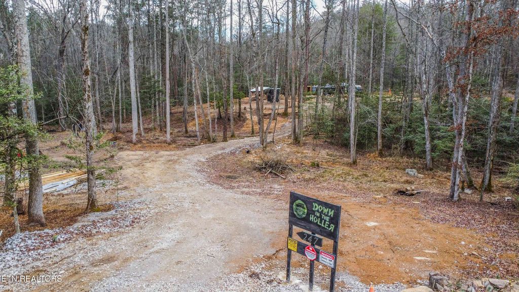 Photo of 247 Copperhead Rd, Oakdale, TN 37829 (MLS # 1325133)