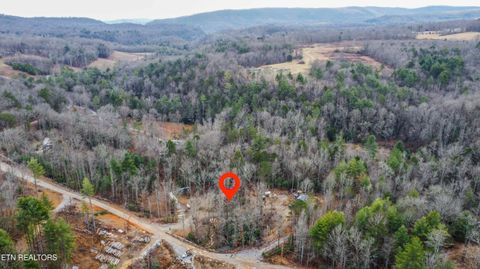 Tiny photo for 247 Copperhead Rd, Oakdale, TN 37829 (MLS # 1325133)