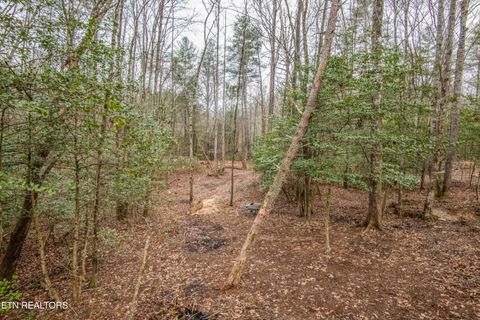 Tiny photo for 247 Copperhead Rd, Oakdale, TN 37829 (MLS # 1325133)