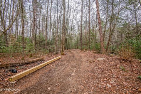 Tiny photo for 247 Copperhead Rd, Oakdale, TN 37829 (MLS # 1325133)