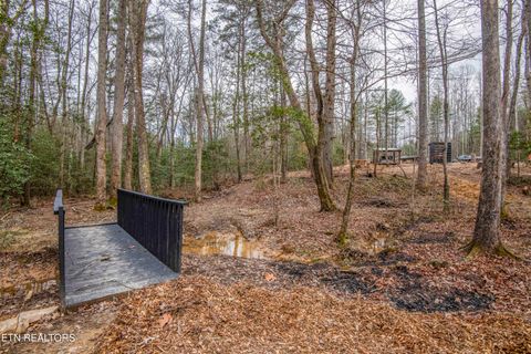 Tiny photo for 247 Copperhead Rd, Oakdale, TN 37829 (MLS # 1325133)
