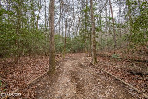 Tiny photo for 247 Copperhead Rd, Oakdale, TN 37829 (MLS # 1325133)