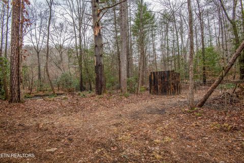 Tiny photo for 247 Copperhead Rd, Oakdale, TN 37829 (MLS # 1325133)