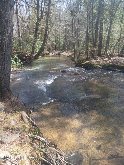 Tiny photo for 247 Copperhead Rd, Oakdale, TN 37829 (MLS # 1325133)