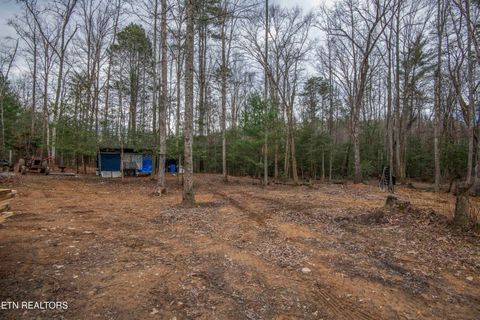 Tiny photo for 247 Copperhead Rd, Oakdale, TN 37829 (MLS # 1325133)