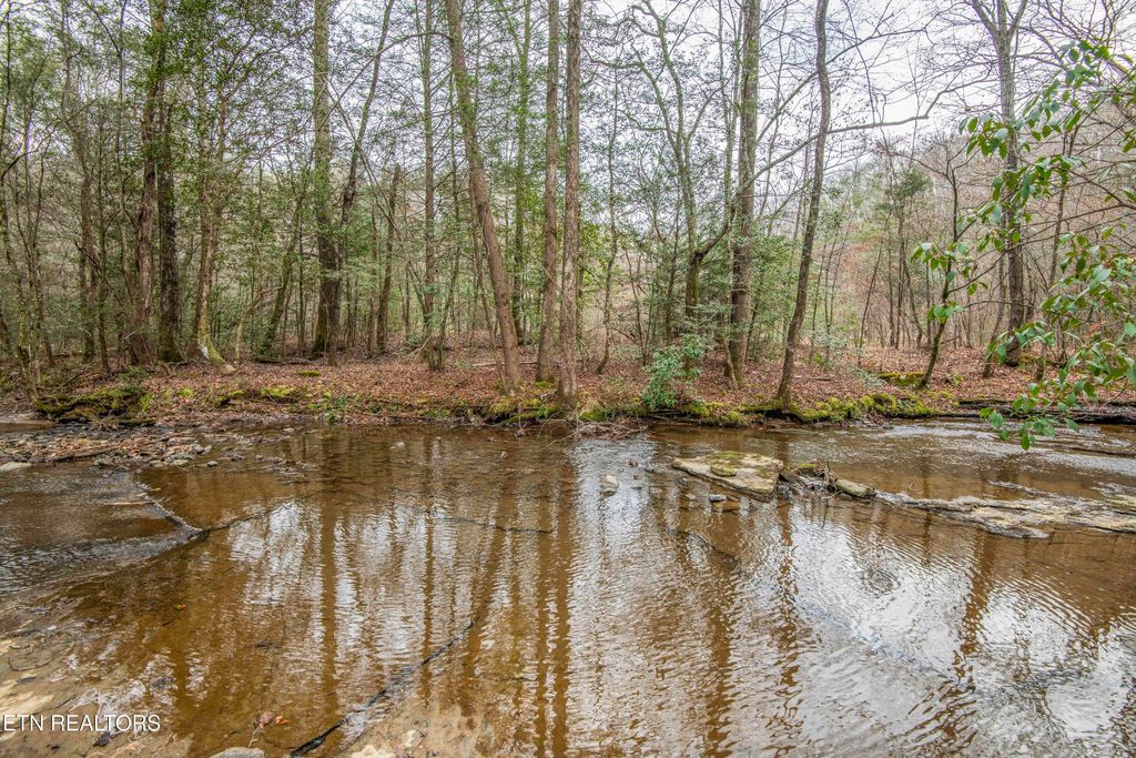 Photo of 247 Copperhead Rd, Oakdale, TN 37829 (MLS # 1325133)