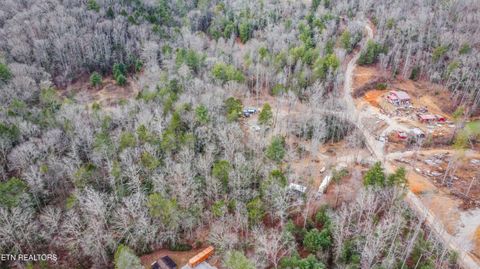 Tiny photo for 247 Copperhead Rd, Oakdale, TN 37829 (MLS # 1325133)