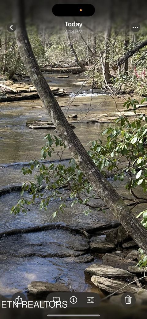 Tiny photo for 247 Copperhead Rd, Oakdale, TN 37829 (MLS # 1325133)