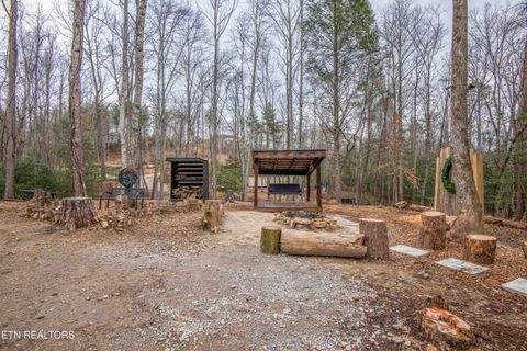 Tiny photo for 247 Copperhead Rd, Oakdale, TN 37829 (MLS # 1325133)