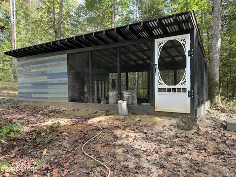 Tiny photo for 247 Copperhead Rd, Oakdale, TN 37829 (MLS # 1325133)