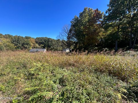 Tiny photo for 1 Cherokee Cove, Rutledge, TN 37861 (MLS # 1319364)