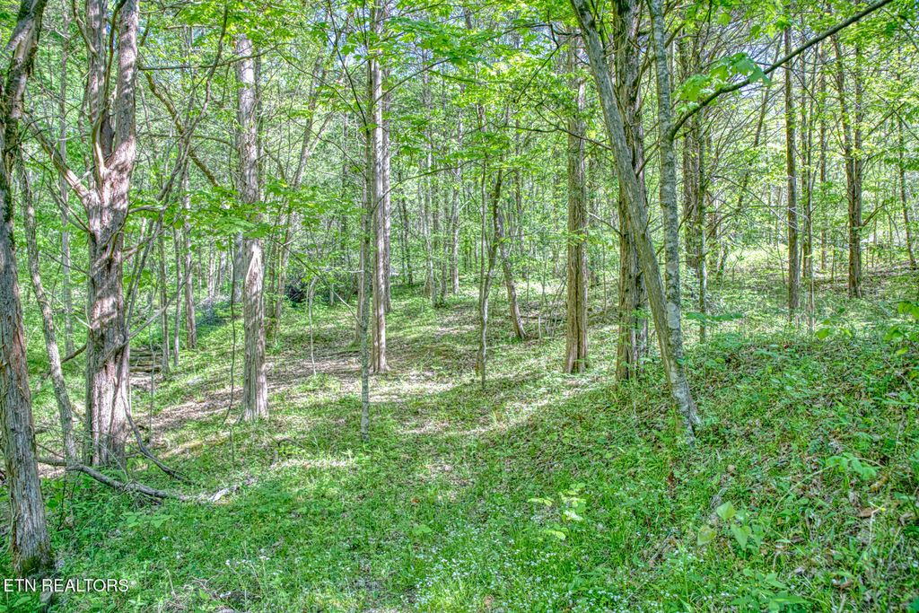 Photo of 299 Poor House Hollow Lane, Gainesboro, TN 38562 (MLS # 1338203)