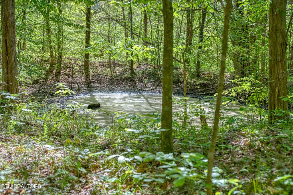 Photo of 299 Poor House Hollow Lane, Gainesboro, TN 38562 (MLS # 1338203)