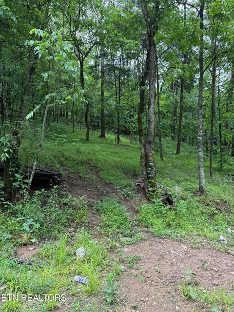 Tiny photo for 940 Riley Creek Rd, Whitleyville, TN 38588 (MLS # 1340626)
