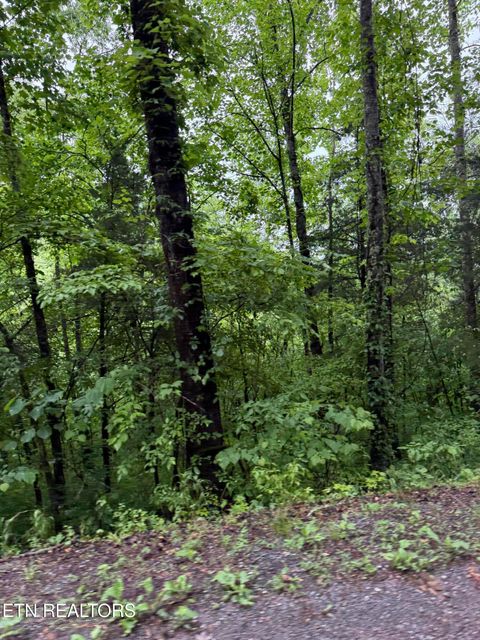 Tiny photo for 940 Riley Creek Rd, Whitleyville, TN 38588 (MLS # 1340626)
