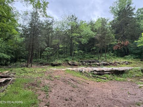 Tiny photo for 940 Riley Creek Rd, Whitleyville, TN 38588 (MLS # 1340626)