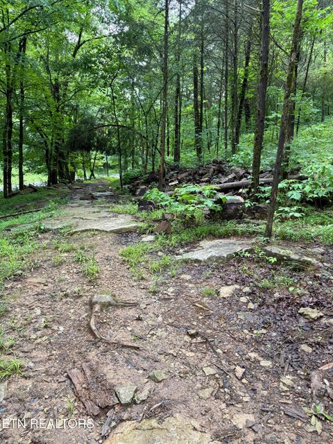 Tiny photo for 940 Riley Creek Rd, Whitleyville, TN 38588 (MLS # 1340626)