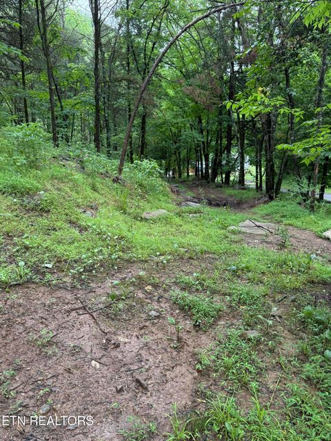 Tiny photo for 940 Riley Creek Rd, Whitleyville, TN 38588 (MLS # 1340626)