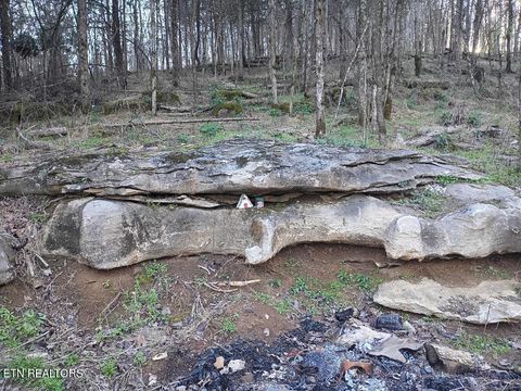 Tiny photo for 940 Riley Creek Rd, Whitleyville, TN 38588 (MLS # 1340626)
