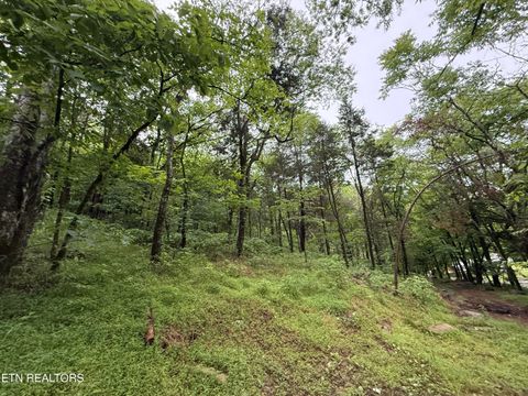 Tiny photo for 940 Riley Creek Rd, Whitleyville, TN 38588 (MLS # 1340626)