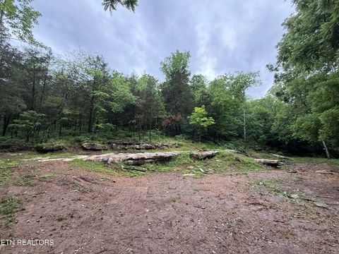 Tiny photo for 940 Riley Creek Rd, Whitleyville, TN 38588 (MLS # 1340626)